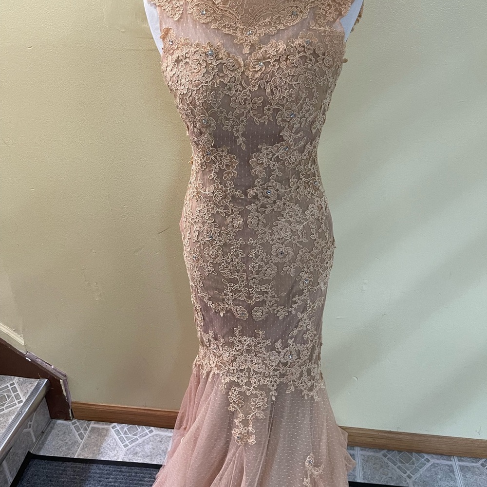 Elegant Lace Evening Gown